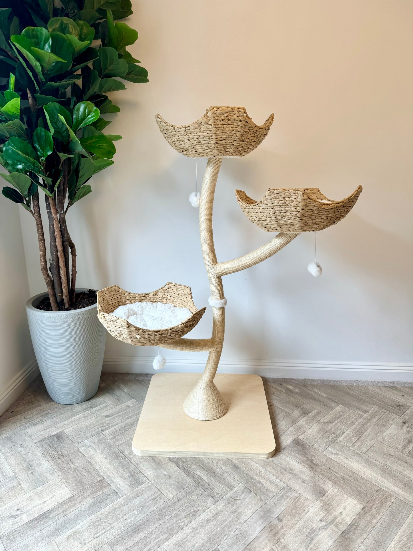 DAMAGED BOX Aesthetic Natural Neutral Bonsai style cat tree tower
