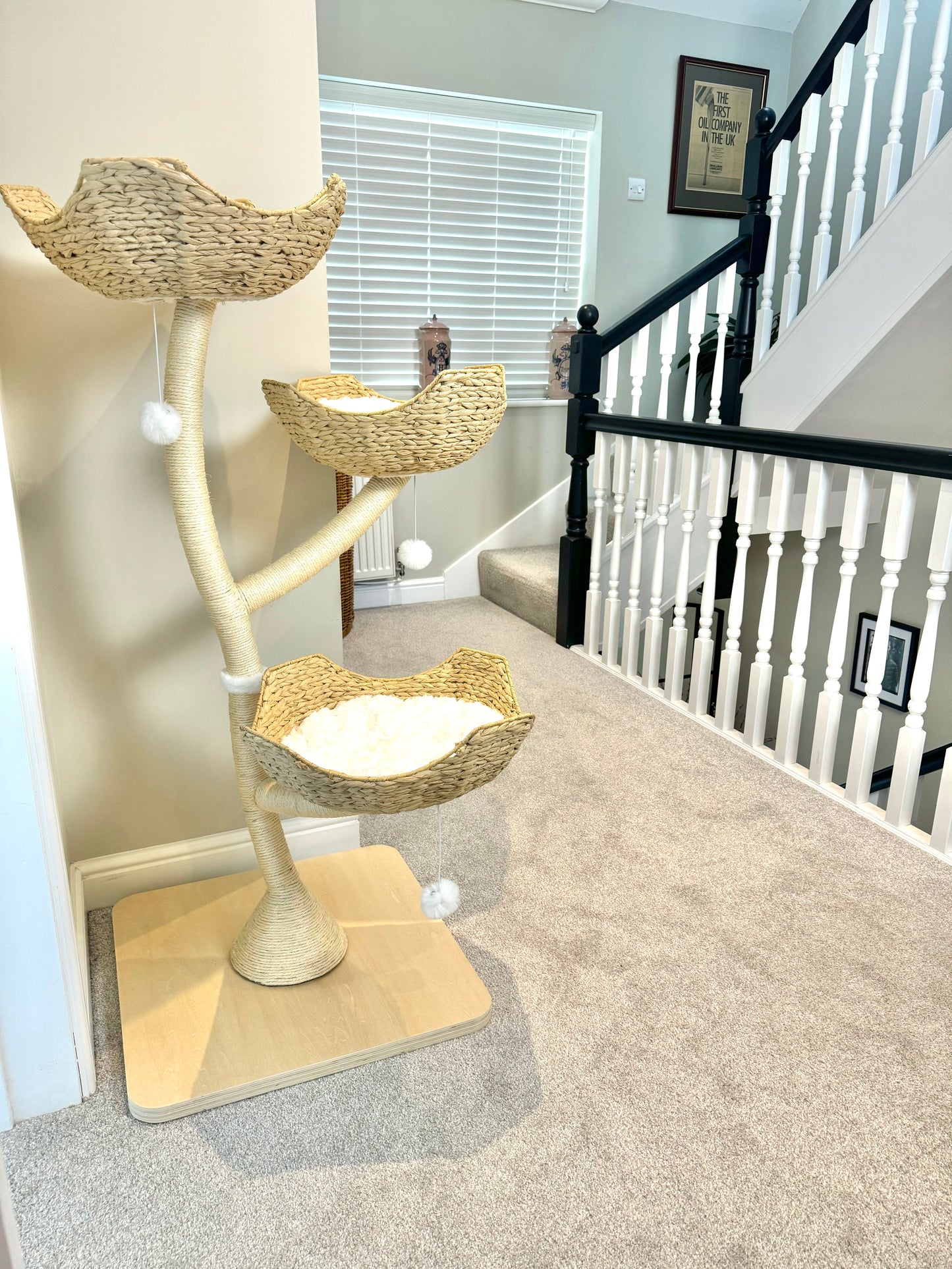 DAMAGED BOX Aesthetic Natural Neutral Bonsai style cat tree tower